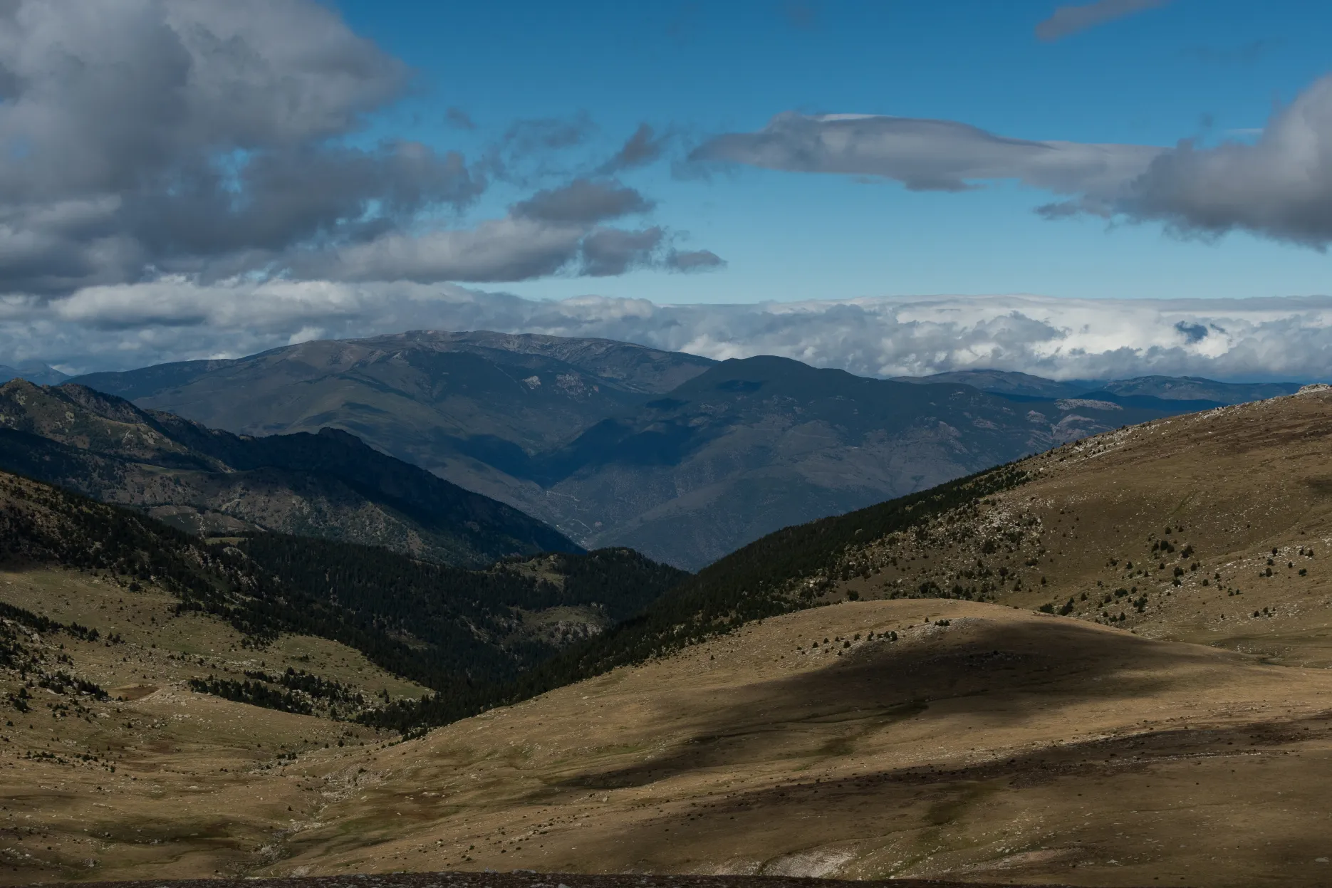 image 3 of Vallter 2000